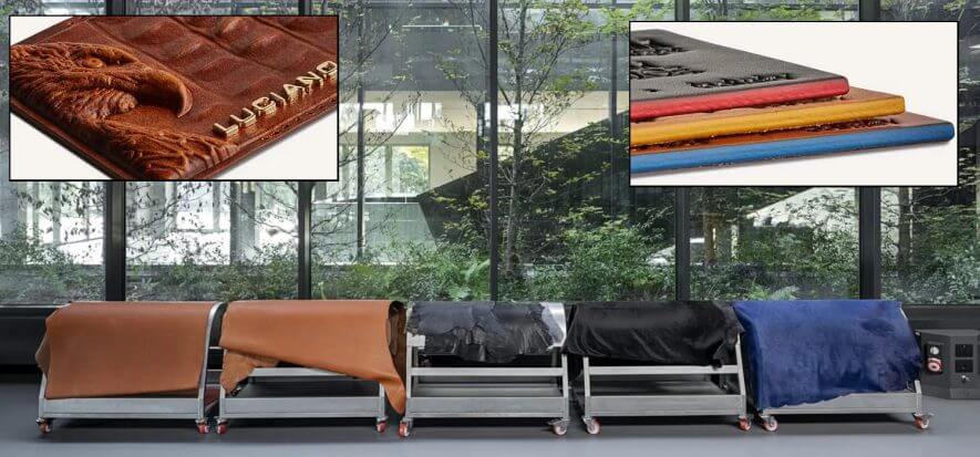 Gone the “luxury dogma”, Vivolo immediately starts growing