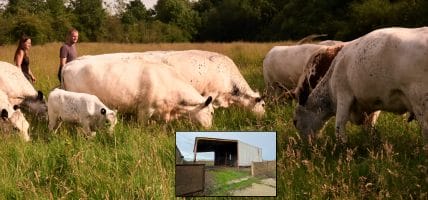 Cotmarsh Tannery: the micro-tannery born from a small farm