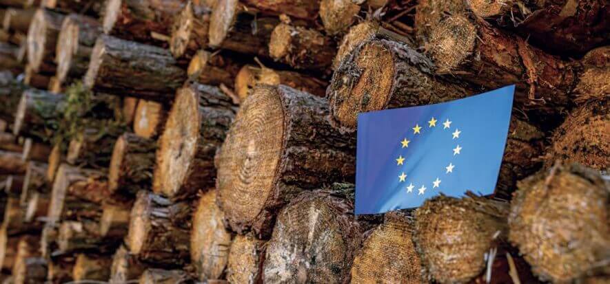 There is still to talk about EUDR: agreement for postponement is there