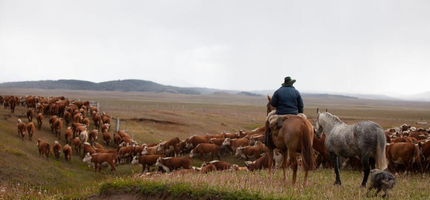 Argentina, il governo annuncia l’eliminazione dei dazi sulla pelle