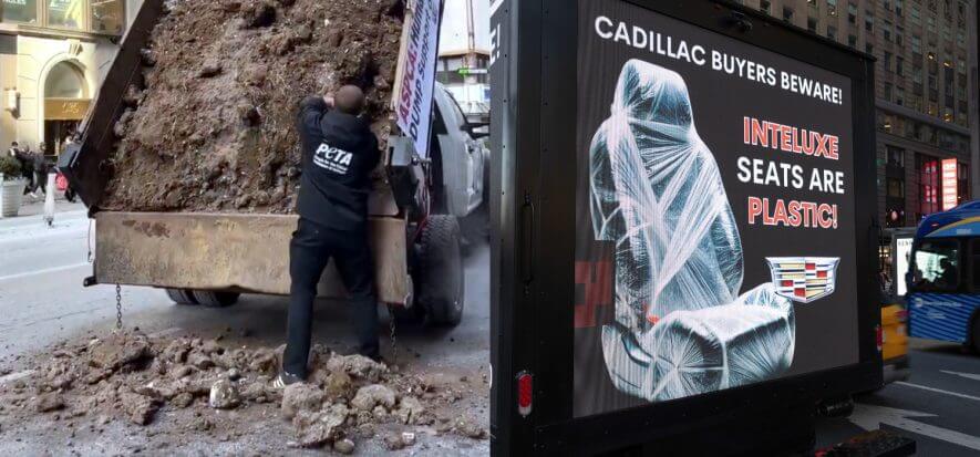 NY: veg feud in the muck as leather fights for the truth