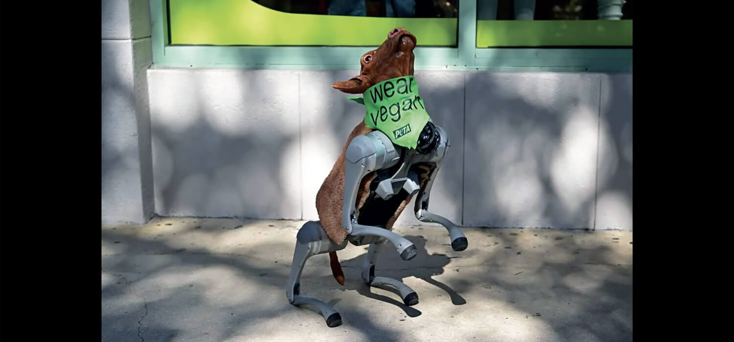 LE RUBRICHE | Riflessioni: Nella battaglia della comunicazione