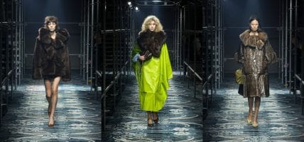 Solo evocata, spesso vera: data per morta, la pelliccia è viva