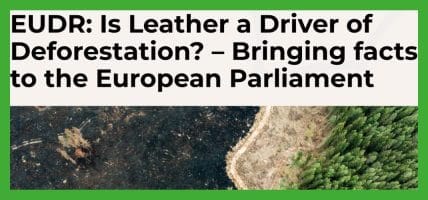 Deforestation: everyone to the European Parliament on Tuesday, 3rd June