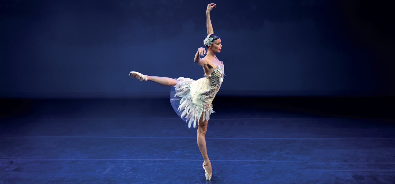 COVER STORY | DNA culturale