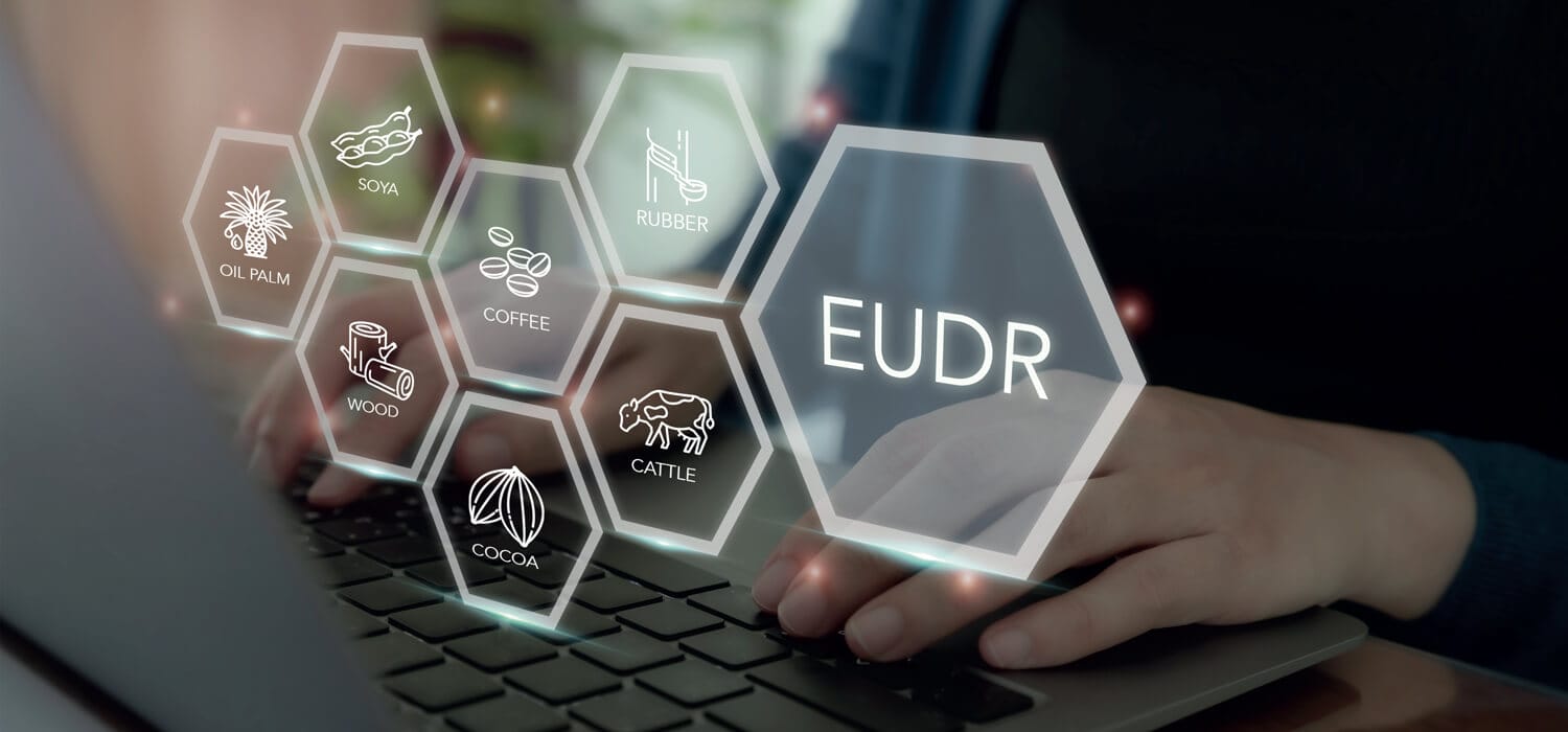 A fine agosto Casa Bianca e Unione Europea si impegnano, nel quadro del percorso verso relazioni commerciali eque ed equilibrate, a evitare che il regolamento anti‐deforestazione arrechi danni economici non dovuti