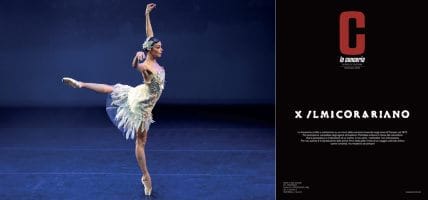 Non è solo mecenatismo: il DNA culturale della pelle italiana