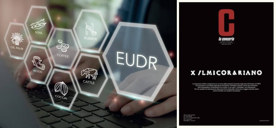 Se una lettera congiunta può cambiare il corso dell’EUDR