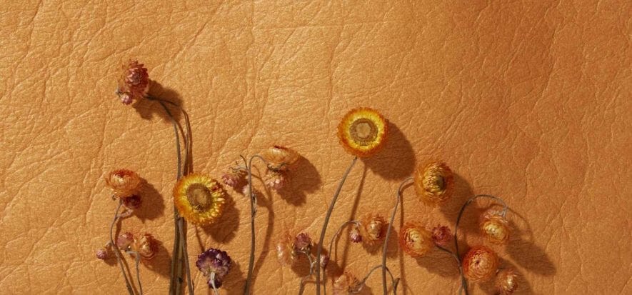 Piñatex failed, the leather that wasn't leather or even business