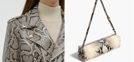 La Florida ha troppi pitoni e così la loro pelle diventa risorsa