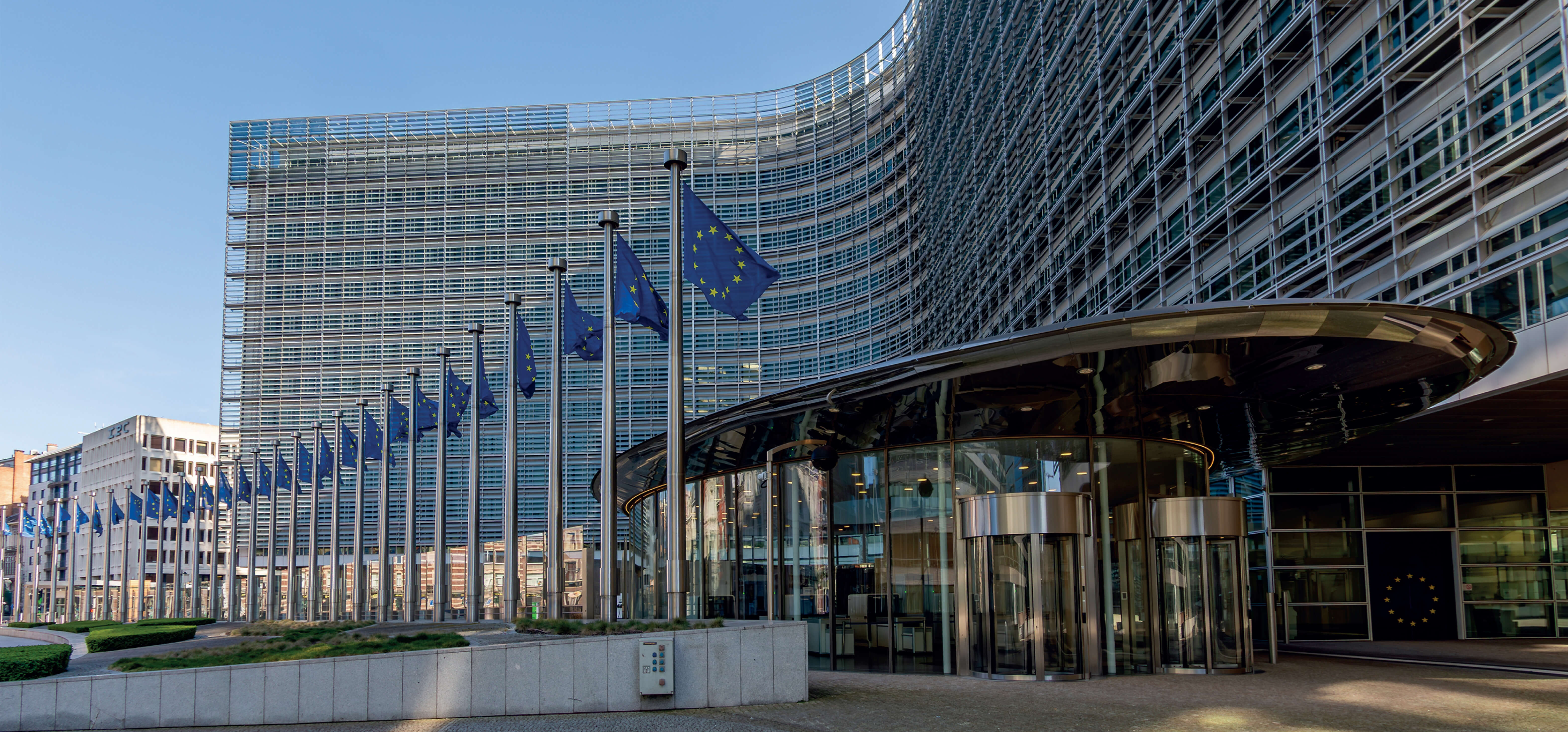 RUBRICHE | Riflessioni: Chi ha bisogno di chiarezza