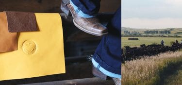 Il progetto di Pangea per la tracciabilità dal pascolo al prodotto