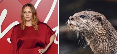LE RUBRICHE | Dietro la lavagna: La stilista eco-chic bloccata da una lontra