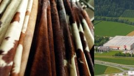 Wollsdorf presenta istanza di fallimento (ma non vuole chiudere)