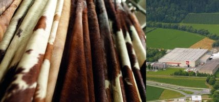 Wollsdorf presenta istanza di fallimento (ma non vuole chiudere)