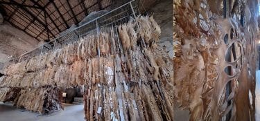Metamorphoses, il cuoio respira e muta nelle forme di Wu Jian’an