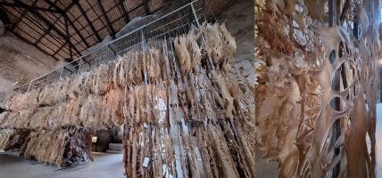 Metamorphoses: leather breathes and transforms in the forms of WU Jian’an